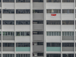 立冬前的“无尽之夏”：新加坡艺术家张奕满个展登陆UCCA沙丘美术馆