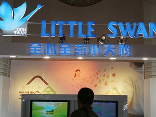 小天鹅打假“小天鸥”：二者毫无关联，对涉事不法商家追责到底