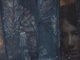 趟过十年影视洪流，《蜂蜜的针》留下的幽默与残酷｜专访编剧李樯