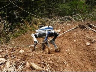 机器人出货量近万台，这家杭州“六小龙”去年盈利了