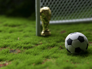 球迷面临侮辱及生命威胁，全美数十个组织发布世界杯旅行警示