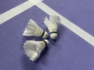 【深度】2.5亿参与者，羽毛球赛事为何赚钱这么难