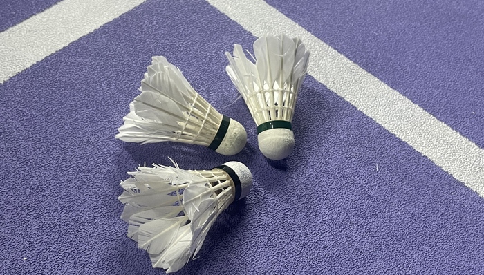 深度;羽毛球;赚钱难