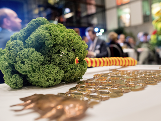 山姆29.9元羽衣甘蓝遭疯抢，新茶饮带飞其价大涨30倍 